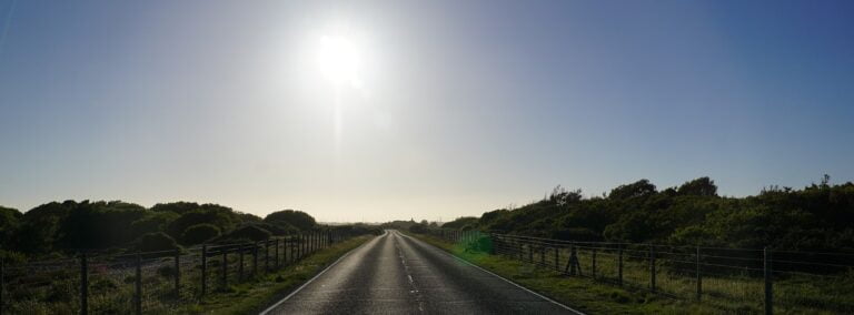 Bajo un sol errante