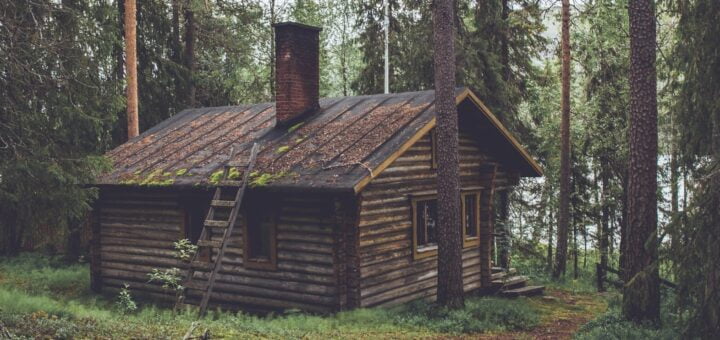 photo of brown wooden cabin in forest during daytime